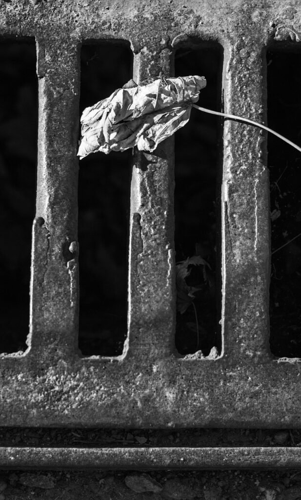 channel, blade, sewerage, atmosphere, architecture, building, street, city, urban, macro, close, detail, close up, opening, passage, way, steel, drainage, wastewater, access, underground, wc, water, iron, public, health, waste, environment, hygiene, recycling, ecology, knowledge, removal, garbage, cover, discharge, cast iron, leaves, nature, sewerage, sewerage, sewerage, sewerage, sewerage, drainage, wastewater